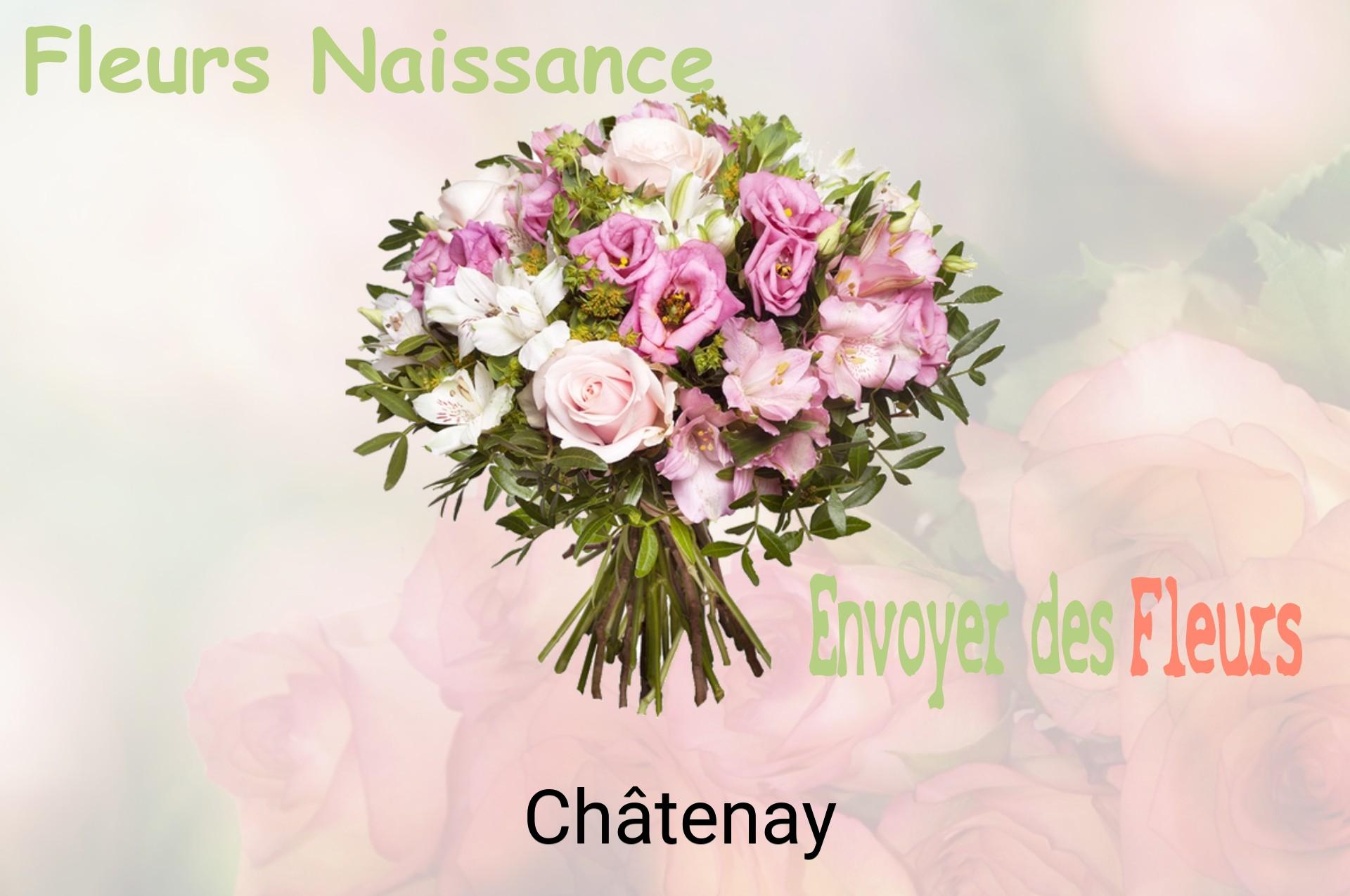 Bouquet de fleurs de naissance livré à Châtenay