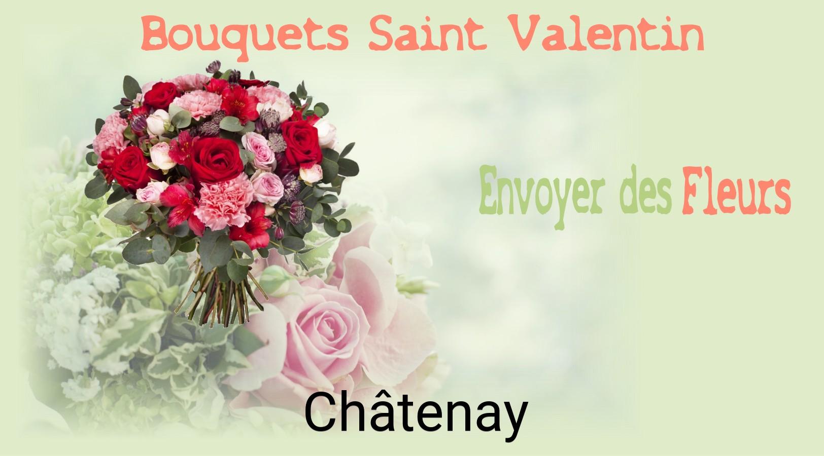Roses de Saint-Valentin livrées à Châtenay