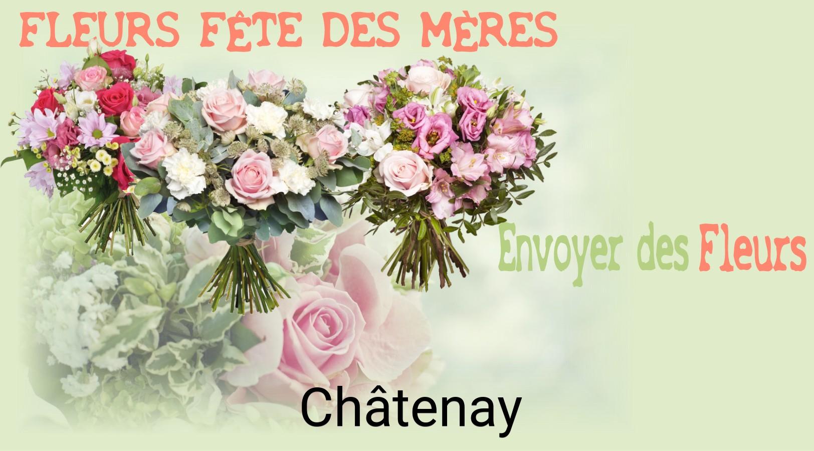 Bouquet de Fête des Mères livré à Châtenay